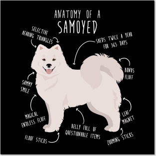 Samoyed Dog Anatomy Posters and Art